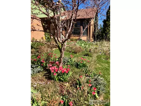 4221 Piedra Pl, Boulder, CO 80301 photo 2