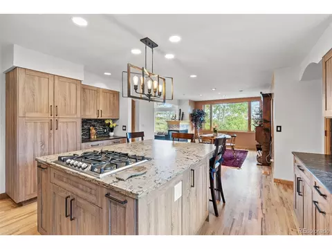 13745 May Long Ct, Pine, CO 80470 photo 21