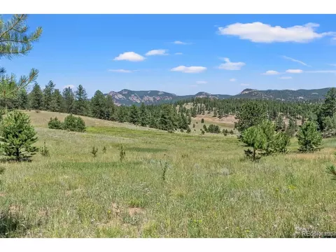 13745 May Long Ct, Pine, CO 80470 photo 7