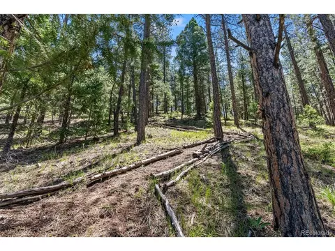13745 May Long Ct, Pine, CO 80470 photo 6