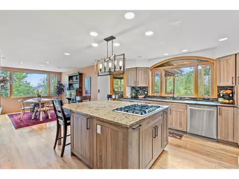 13745 May Long Ct, Pine, CO 80470 photo 22