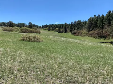 11260 Glory Ridge Loop, Elbert, CO 80106 photo 6