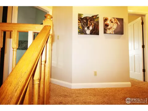 1405 Maple Dr, Berthoud, CO 80513 photo 16
