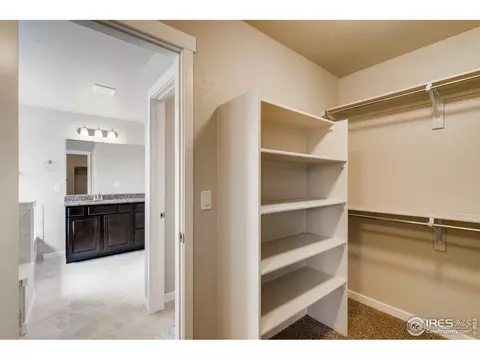 2156 Crop Row Dr, Windsor, CO 80550 photo 12