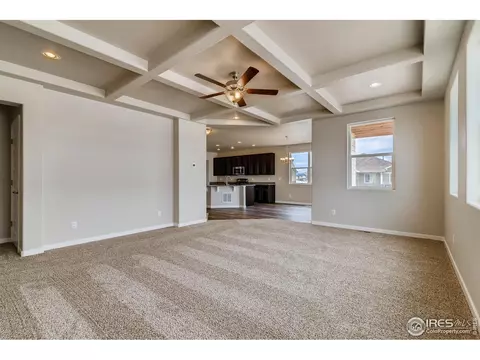 2156 Crop Row Dr, Windsor, CO 80550 photo 16