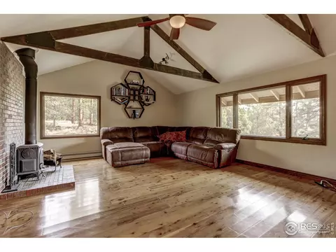 855 Estes Park Estates Dr, Lyons, CO 80540 photo 4