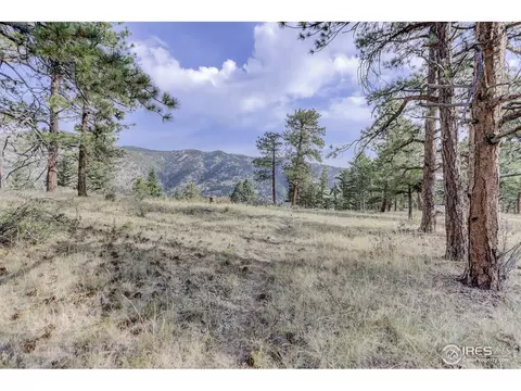 855 Estes Park Estates Dr, Lyons, CO 80540 photo 18