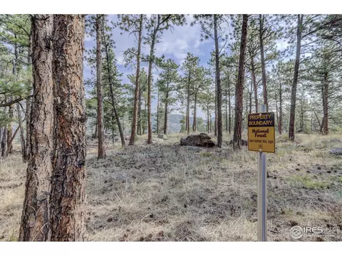 855 Estes Park Estates Dr, Lyons, CO 80540 photo 17