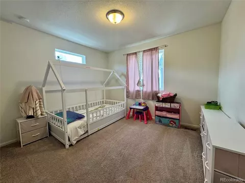 18682 E 54th Ave, Denver, CO 80249 photo 46