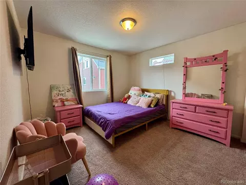 18682 E 54th Ave, Denver, CO 80249 photo 41