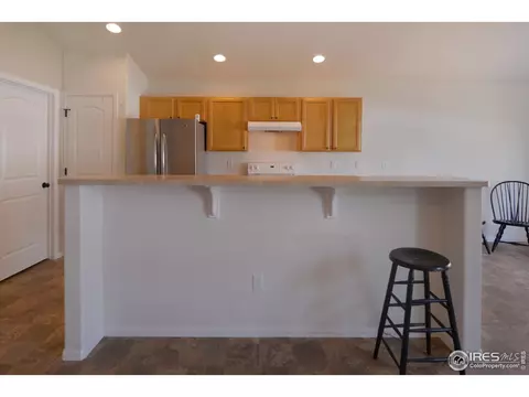 310 Cherryridge Dr, Windsor, CO 80550 photo 12
