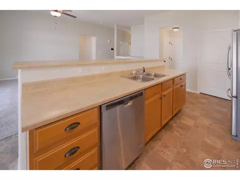310 Cherryridge Dr, Windsor, CO 80550 photo 11
