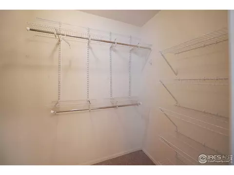 310 Cherryridge Dr, Windsor, CO 80550 photo 23