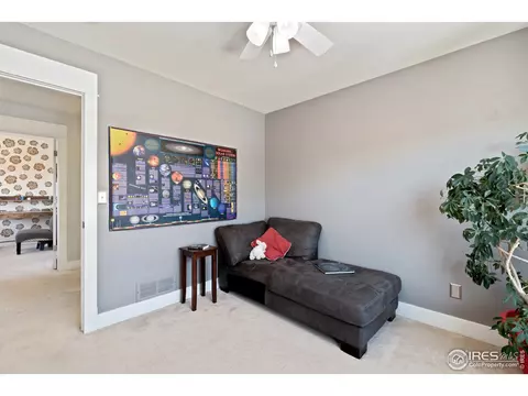 1302 Fairfield Ave, Windsor, CO 80550 photo 19