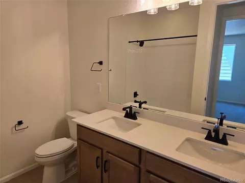 991 Rustling St, Windsor, CO 80550 photo 14