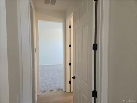 991 Rustling St, Windsor, CO 80550 photo 9