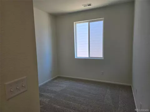 991 Rustling St, Windsor, CO 80550 photo 18