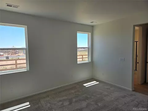 991 Rustling St, Windsor, CO 80550 photo 13