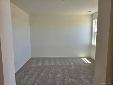 991 Rustling St, Windsor, CO 80550 photo 12