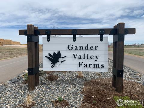 35159 Hillhouse Ln, Windsor, CO 80550 photo 1