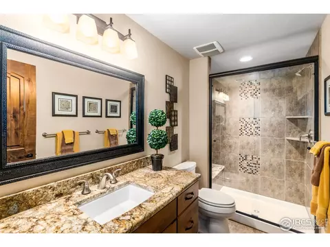 6750 Murano Ct, Windsor, CO 80550 photo 29