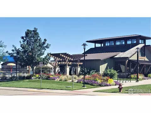 6750 Murano Ct, Windsor, CO 80550 photo 37