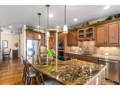 6750 Murano Ct, Windsor, CO 80550 photo 8