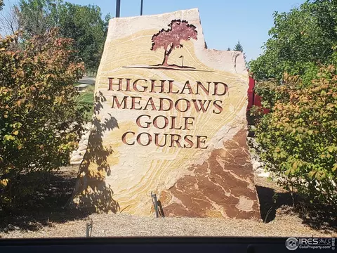 6750 Murano Ct, Windsor, CO 80550 photo 36