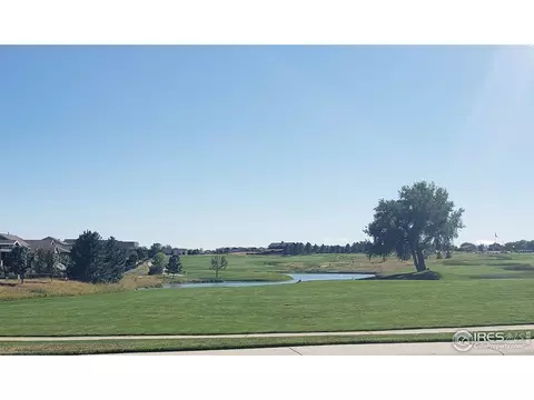 6750 Murano Ct, Windsor, CO 80550 photo 35