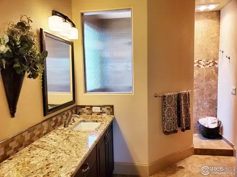 6750 Murano Ct, Windsor, CO 80550 photo 14