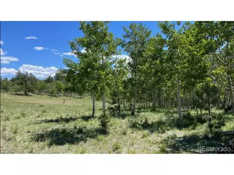 542 Deerview Dr, Lake George, CO 80827