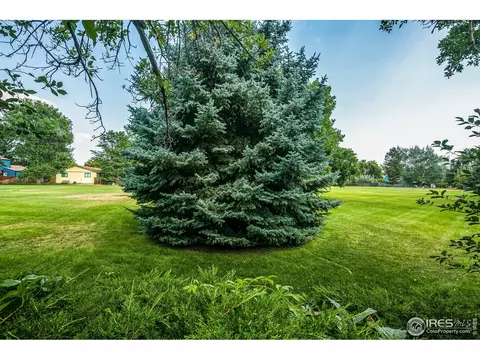 4442 Driftwood Pl, Boulder, CO 80301 photo 28