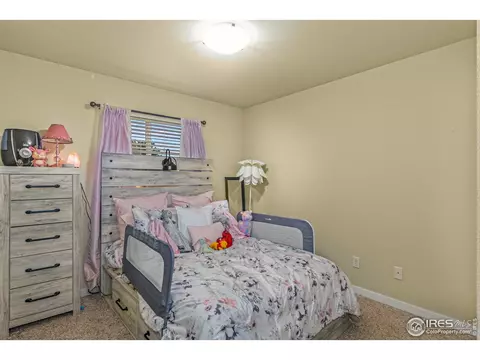 441 Sundance Dr, Windsor, CO 80550 photo 15