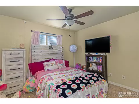 441 Sundance Dr, Windsor, CO 80550 photo 11