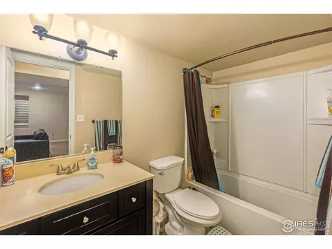 441 Sundance Dr, Windsor, CO 80550 photo 25