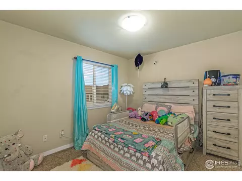 441 Sundance Dr, Windsor, CO 80550 photo 13