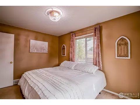 107 Rose Ct, Windsor, CO 80550 photo 13