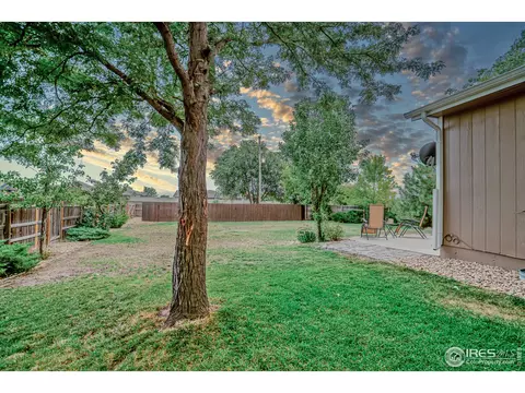 107 Rose Ct, Windsor, CO 80550 photo 33