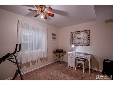 107 Rose Ct, Windsor, CO 80550 photo 25