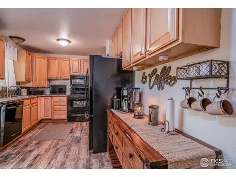 107 Rose Ct, Windsor, CO 80550 photo 15