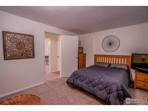 107 Rose Ct, Windsor, CO 80550 photo 26