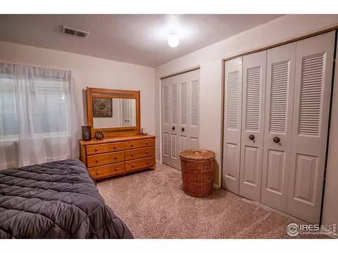 107 Rose Ct, Windsor, CO 80550 photo 27