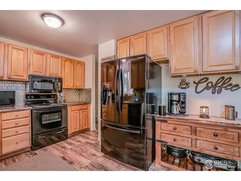 107 Rose Ct, Windsor, CO 80550 photo 18