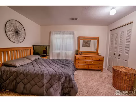 107 Rose Ct, Windsor, CO 80550 photo 24