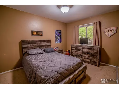 107 Rose Ct, Windsor, CO 80550 photo 9