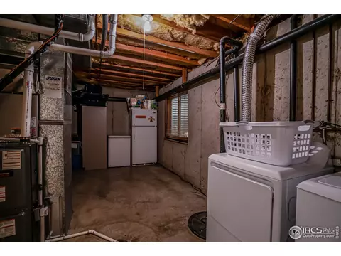 107 Rose Ct, Windsor, CO 80550 photo 19