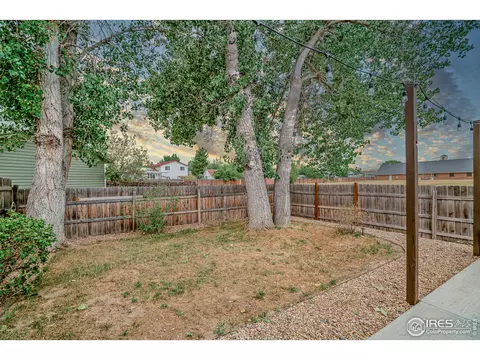 107 Rose Ct, Windsor, CO 80550 photo 29