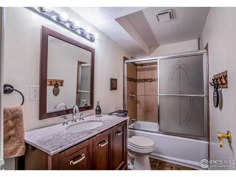 107 Rose Ct, Windsor, CO 80550 photo 23