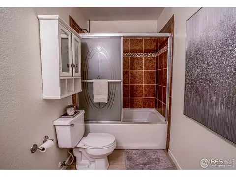 107 Rose Ct, Windsor, CO 80550 photo 10