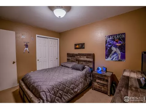 107 Rose Ct, Windsor, CO 80550 photo 7